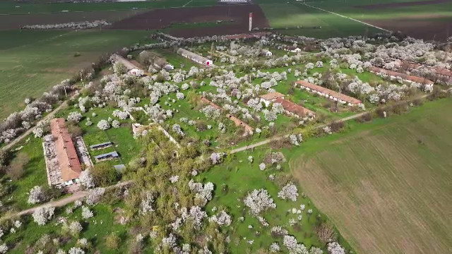 România pierde lupta pentru securitatea alimentară: cercetarea agricolă în declin