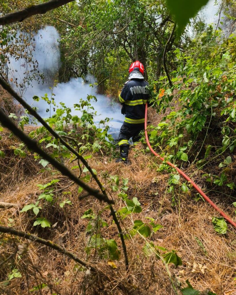 Nou focar de incendiu în Caraș-Severin, situația se agravează