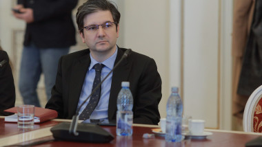 Audiații la Senat: viitorii șefi ICR, inclusiv Liviu Jicman, pe ordinea de zi