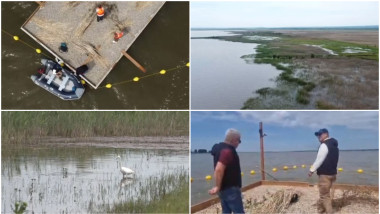 Experiment inedit în Dolj: insule artificiale pentru păsări sălbatice pe lacul cel mai mare.