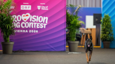 Eurovision 2026 sub atac: 500 de tentative cibernetice în Italia și Austria
