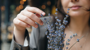 Lavandă: de la decor la delicii și cosmetice, o afacere înfloritoare