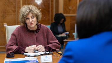 Oana Gheorghiu: Petrișor Peiu, acțiuni la companii de stat, în umbra Guvernului
