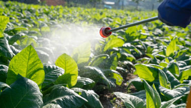 Pesticide ilegale la Petroșani: Polițiștii confiscă 45 litri și 20 kg de substanțe periculoase
