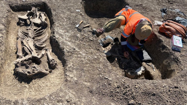Războinic și calul său, îngroați împreună, descoperiți la Timișoara Vest