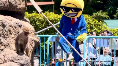 Incident șocant la grădina zoologică: influencer american provoacă haos lângă puiul de maimuță Punch