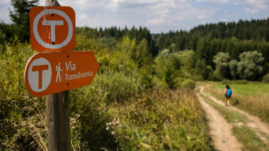 MedLife partener oficial al Via Transilvanica, proiectul care „unește” România