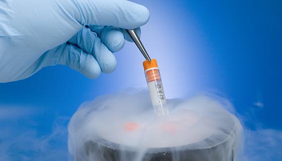 Descoperire medicală revoluționară: fertilitatea poate fi restabilită și în cazuri fără speranță