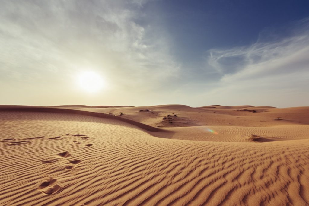 Țări africane unesc forțele: barieră de 8.000 km contra înaintării deșertului Sahara