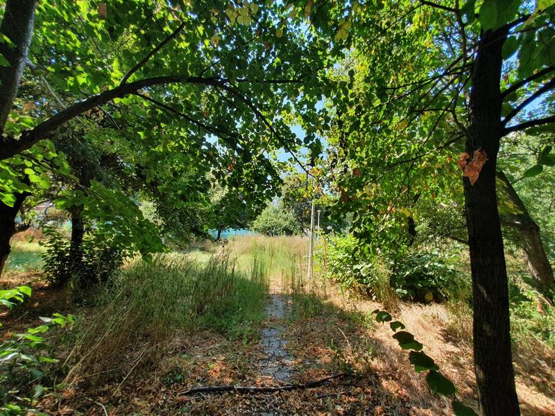 Parc sau clădire? Planurile Primăriei Sectorului 3 dezvăluite