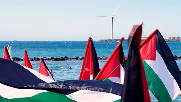Spania și Brazilia cer eliberarea activiștilor răpiți de Israel în flotila din Gaza