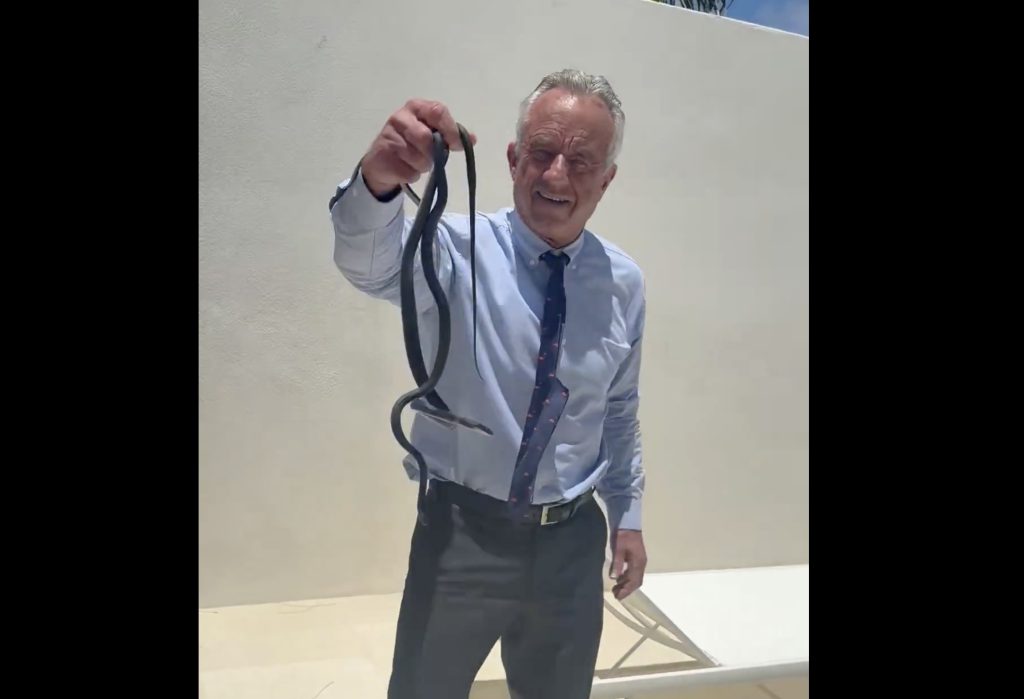 Robert F. Kennedy Jr. ține doi șerpi în mână, secretarul Departamentului Sănătății mușcat