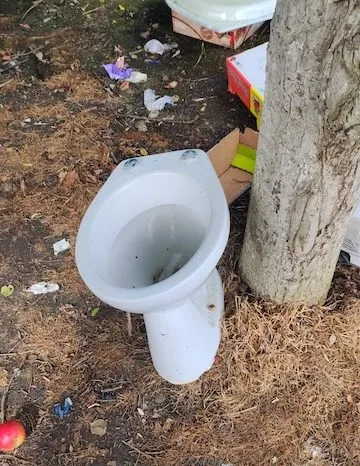 Gunoaie menajere pe drumuri: „Localnicii aduc deșeurile în parcări
