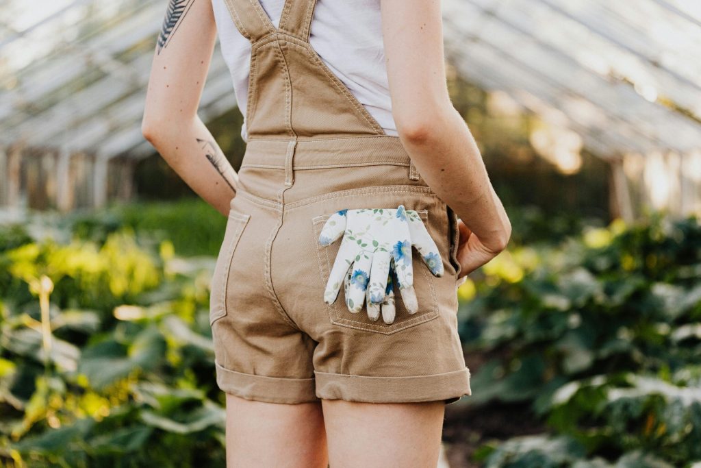 Grădinăritul de lux: designerii și horticultorii transformă echipamentele de lucru în modă