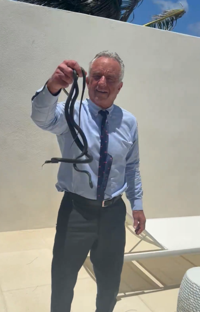 Robert F. Kennedy Jr. prinde doi șerpi cu mâinile goale, șocându-i pe cei din jur