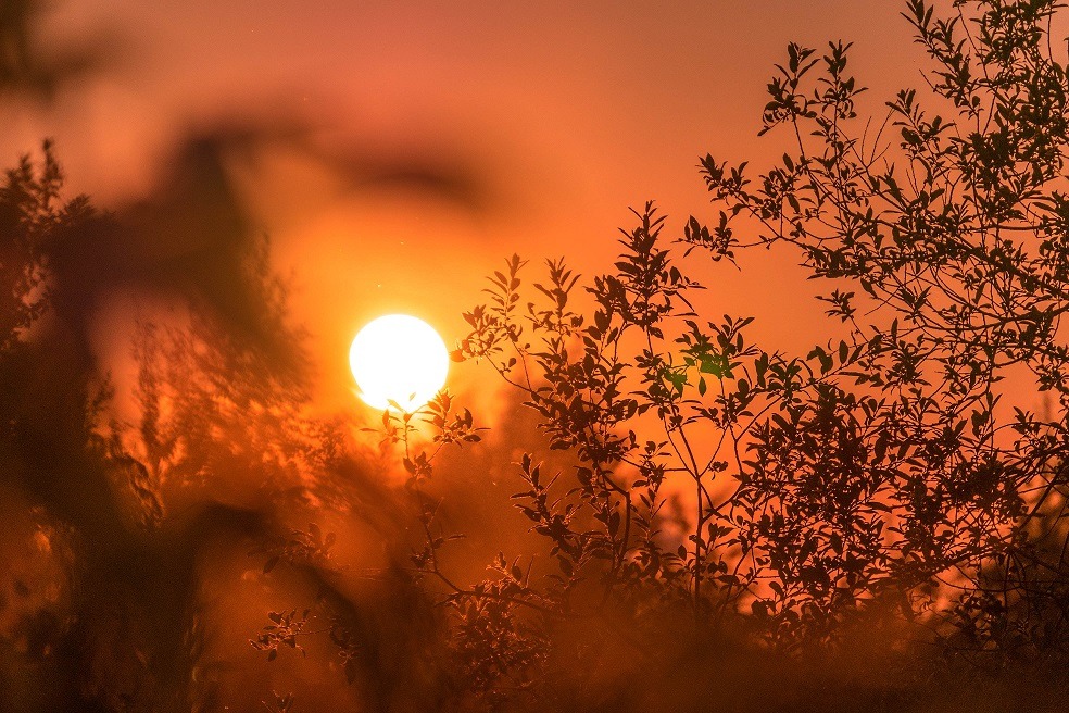 Vara aduce temperaturi de 40 de grade în Europa; El Niño nu este cauza