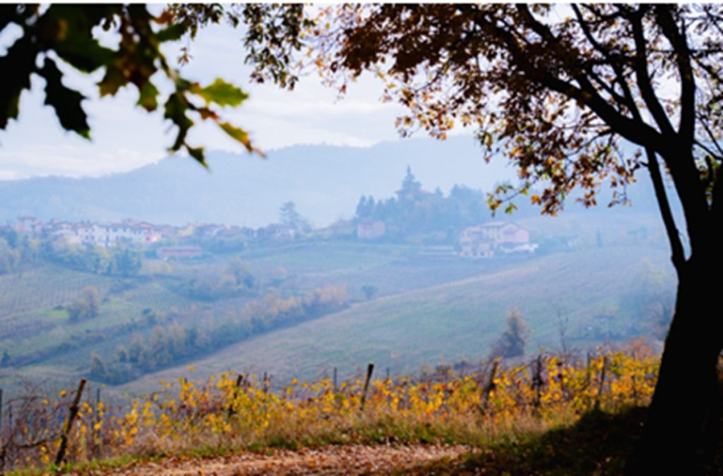Descoperă Oltrepò Pavese: vin, vii și farmec în inima Italiei