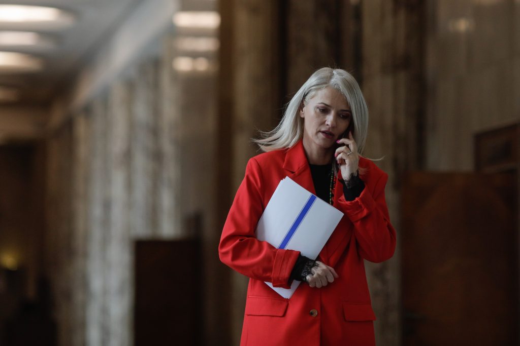 Lider conservator PNL: Guvernul Veștea, posibil blocat, declară sincer adevărul