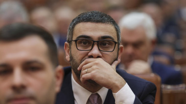 Fostul ministru al Muncii, rezervat față de noua lege a salarizării