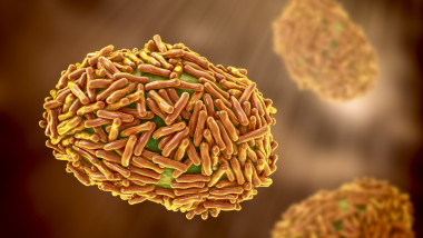 Cercetători reținuți în SUA pentru contrabandă cu virusul mpox din Africa