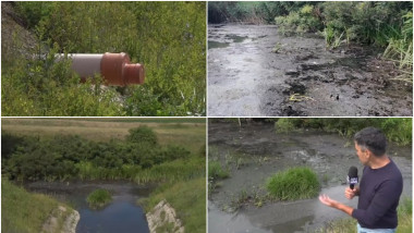 Poluare masivă în vest: Firmă de apă-canal, prinsă că deversă ilegal ape uzate în râuri