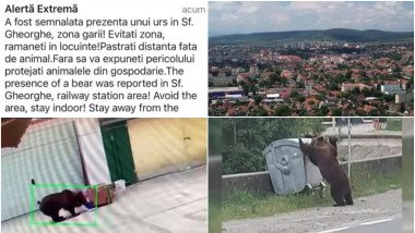 Urși terorizează un oraș întreg, atacuri repetate filmate pe camere