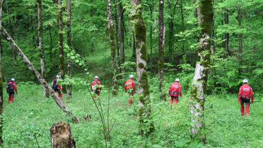 Urșii și viperele invadează traseele turistice, avertismente de la Salvamont