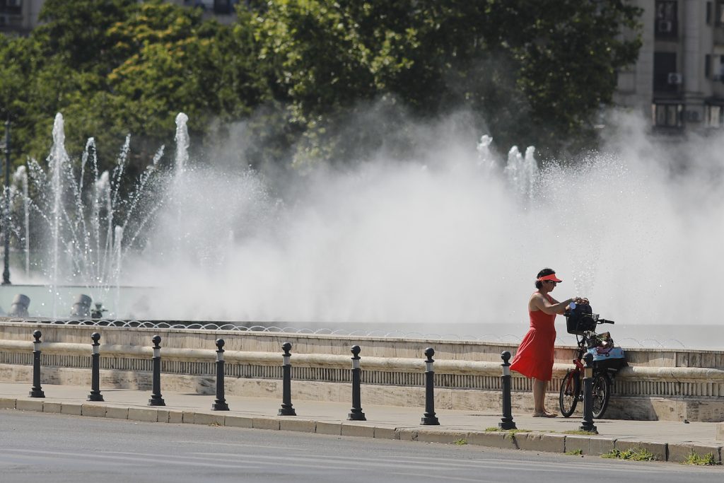 Bucureștiul se distrează: pisici gigantice, Nostalgia și Ada Milea în weekend
