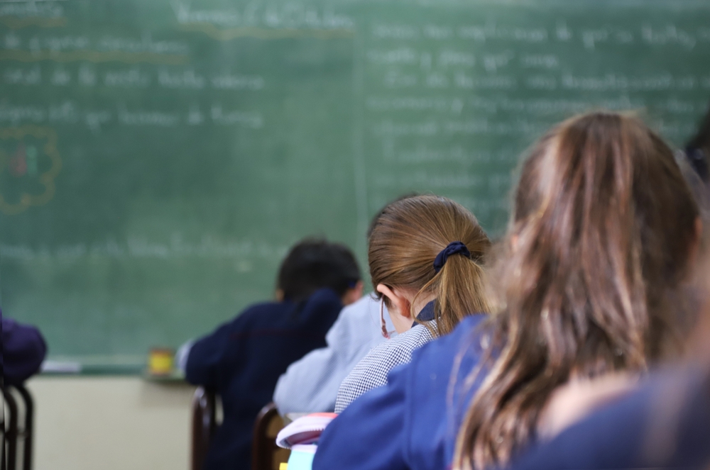 Evaluare Națională 2026: Rezolvarea subiectelor de Română pentru clasa a VIII-a explicată de profesori