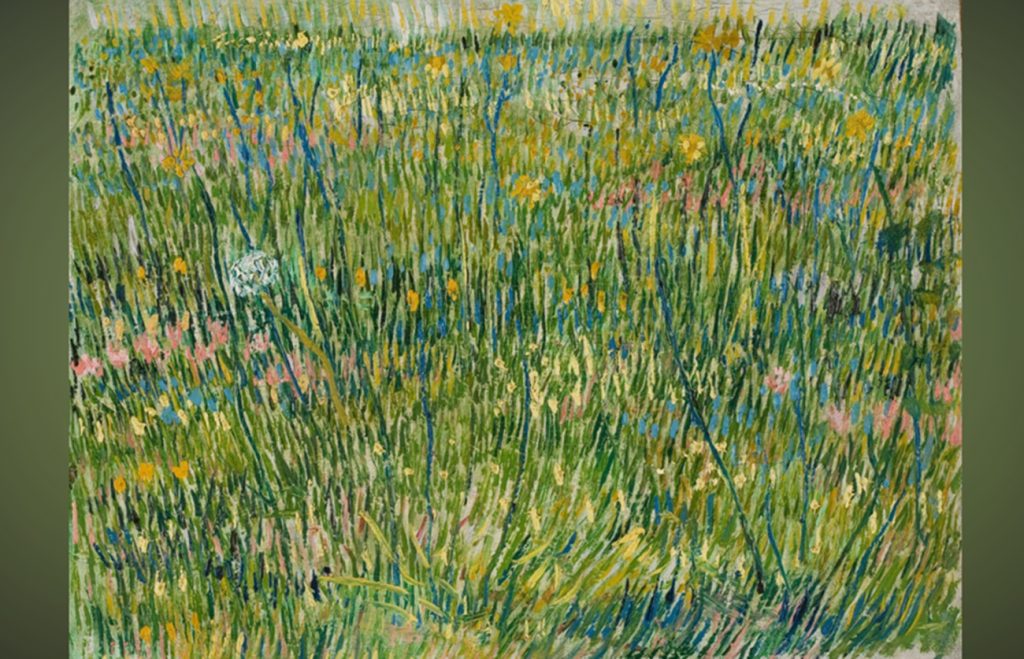 Pictura „Coin d’herbe” a Van Gogh dezvăluie un secret ascuns