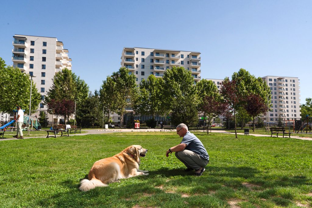 Animalele, comunitatea și orașul: ce înseamnă un cartier pentru toți