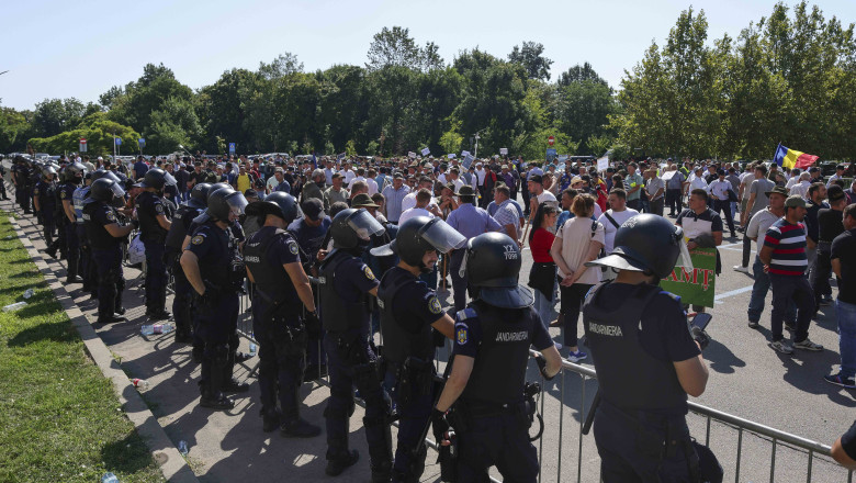 Guvernul răspunde la protestul oierilor: decizie rapidă pentru ANSVSA
