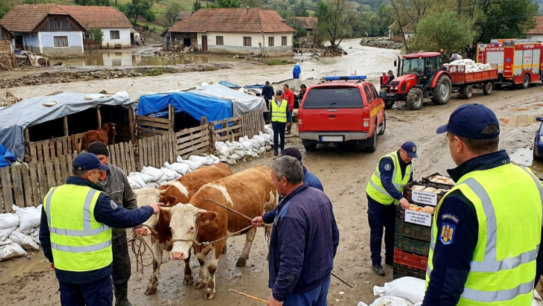 ANSVSA avertizează: În urma inundațiilor, risc de boli zoonotice grave