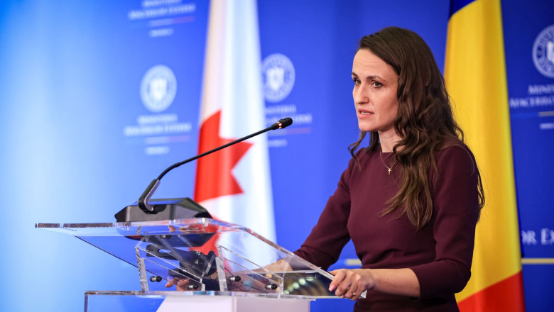 Oana Țoiu: „Drona le aparține, responsabilitatea le aparține” Rusia