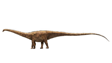 Descoperire senzațională: o specie uriașă de dinozaur din doar o vertebră