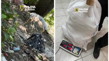 Funcționari publici din Ialomița, acuzați de pescuit ilegal de sturioni sub pretext științific