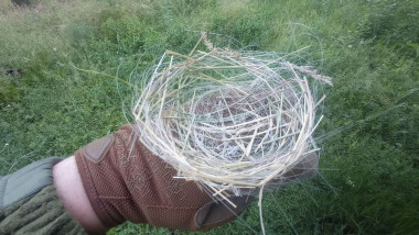 Război în Ucraina: cuiburi de păsări din cabluri de fibră optică distruse