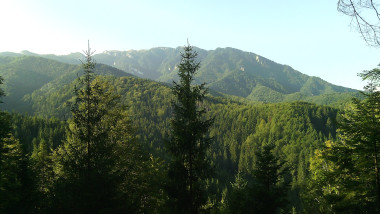 România, în vizorul Curții Europene de Conturi pentru rețeaua Natura 2000
