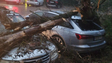 Deteriorate de furtună? Primăria Sector 2: Ai 72 de ore să reclami