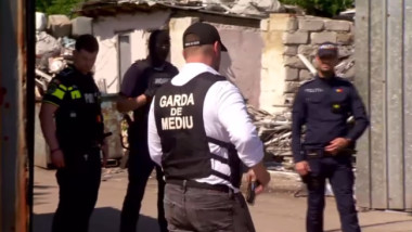 Garda de Mediu, copleșită de sesizări absurde: miros de tocăniță și albine enervante