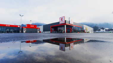 Cum o singură firmă privată produce 0,8% din PIB-ul României