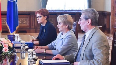 Olguța Vasilescu: Habarniștii se vor alege cu noroi, statul pierde dublu anual