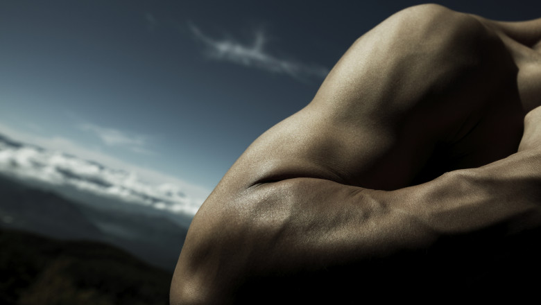 Descoperirea care ar putea încetini pierderea masei musculare odată cu îmbătrânirea. Rezultatele unui nou…