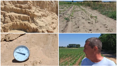 Arșița devastatoare în „Sahara Olteniei”: temperaturi extreme, culturi întregi în pericol