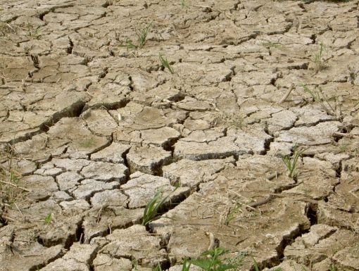 Țara care a declarat alertă maximă pe întreg teritoriul din cauza secetei cauzate de El Nino. Recoltele sunt grav afectate