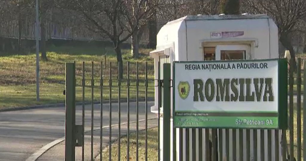 Romsilva a cheltuit 2,7 milioane de lei pe un sediu ca o cabană de vânătoare. Diana Buzoianu: „S-au aruncat milioane de lei”