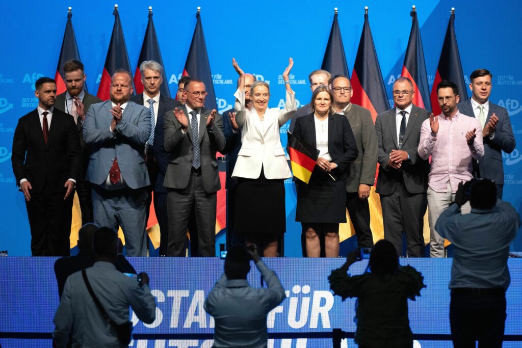 Fisură în AfD pe două teme majore. Aripa de tineret respinge ieșirea Germaniei din zona euro și Schengen