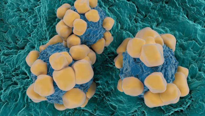 Ingredientul activ din Viagra ar putea frâna răspândirea cancerului.