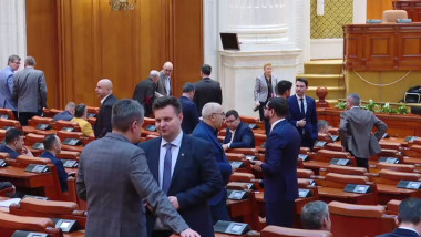 Camera Deputaților a respins proiectul privind utilizarea Fondului de garantare pentru plata creanțelor salariale