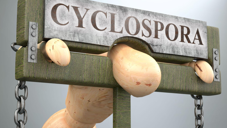 Focar de ciclosporiază din SUA cauzează doi decesi în Michigan